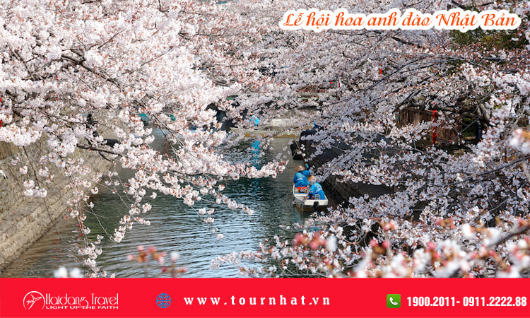 Lễ hội hoa anh đào Nhật Bản