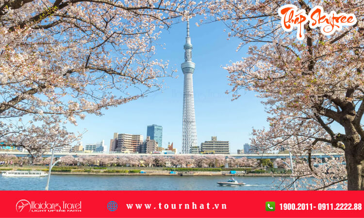 Tháp Skytree 
