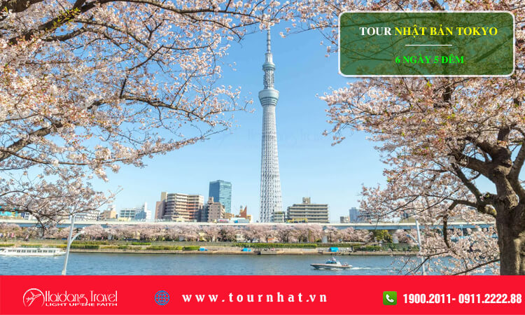 Tour Nhật Bản Tokyo 6 ngày 5 đêm