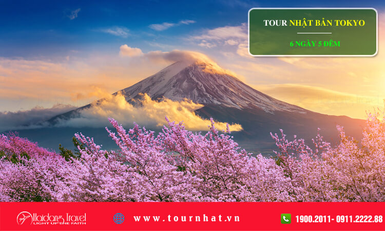 Tour Nhật Bản Tokyo 6 ngày 5 đêm 